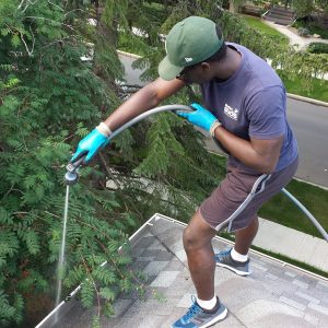 student cleaning out a gutter